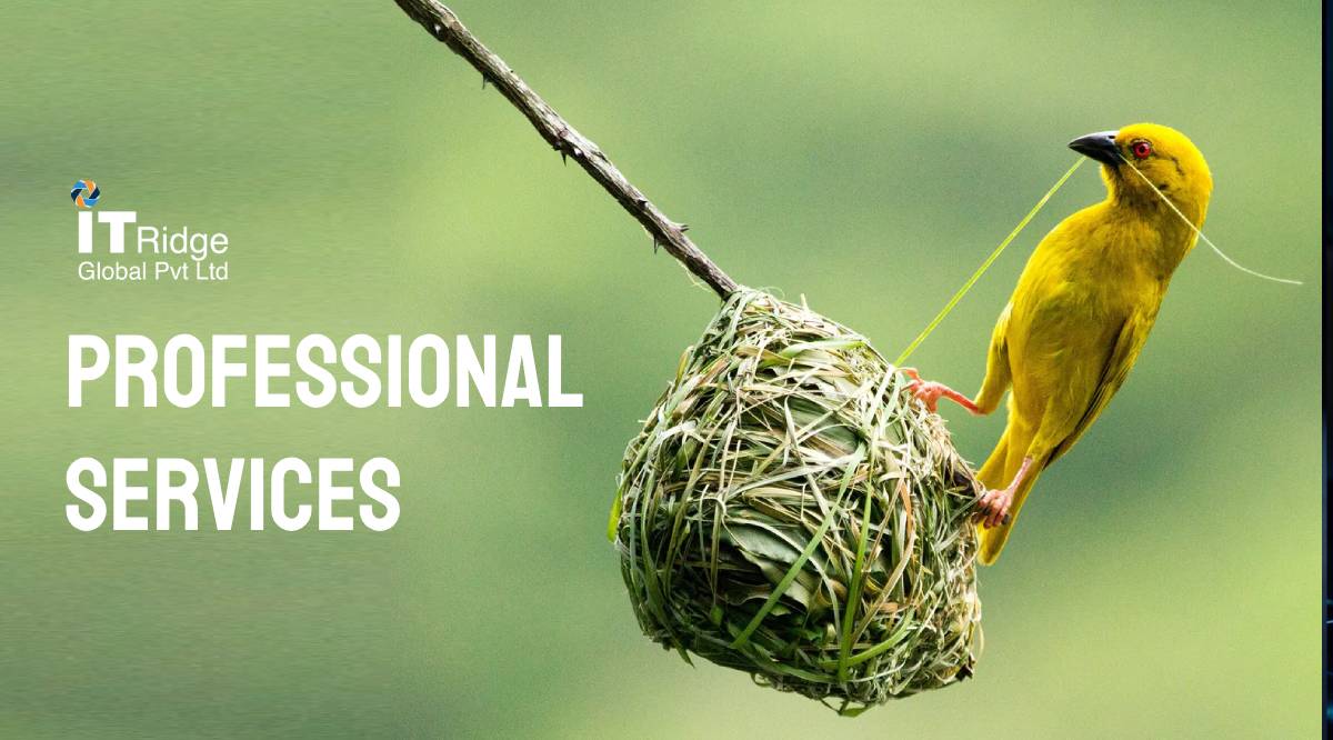  Professional Services